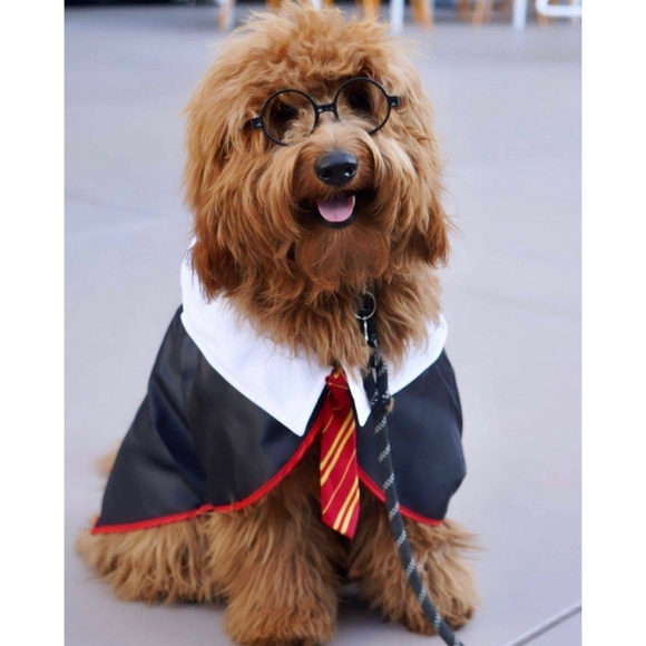 Meet the Posher of WowNYC, Wowie! - Picture 4 of 16